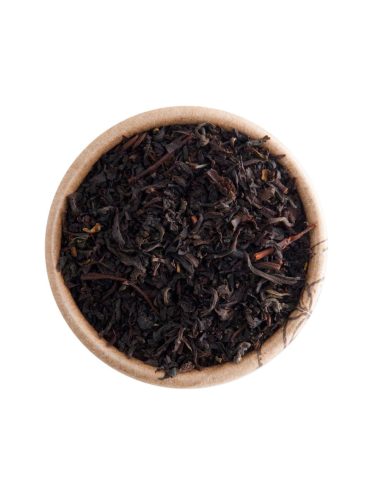 te-nero-earl-grey-bio-la-pianta-del-te